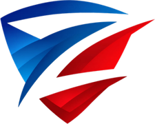 Zillion Global Business Services logo